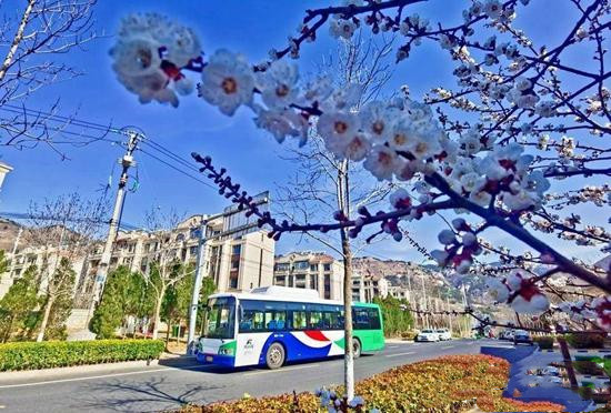 公交集團(tuán)180條線路對(duì)接地鐵！青島巴士賦能暖行讓出行更美好(圖2)