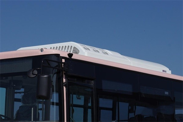 周游浪漫國(guó)度旅程 首次進(jìn)入百慕大的國(guó)產(chǎn)公交車(chē)長(zhǎng)啥樣?(圖4)
